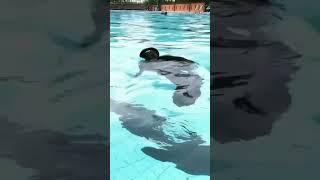 Ukhti cadar mandi berenang #shorts