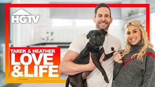 Inside Tarek & Heather’s New Life  The Flipping El Moussas  HGTV