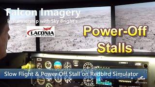 Slow Flight & Power Off Stall & Recovery Demo on Redbird Simulator