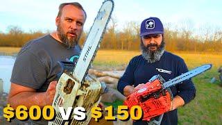 Testing the Cheapest Top Handle Chainsaw on Amazon