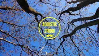 OneRepublic - Apologize  Acoustic Cover by Boyce Avenue