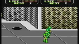 NES Longplay - Teenage Mutant Ninja Turtles 2 TwoPlayer mode