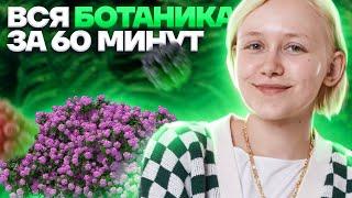 Вся ботаника за 60 минут. Что нужно знать для ОГЭ по биологии?  Биология ОГЭ 2023  Умскул