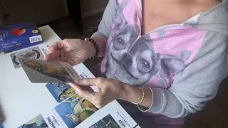 CHIHUAHUA TAROT READING  THIS IS WHY YOU ARE BEHAVING THIS WAY reading is for week of oct 11-18