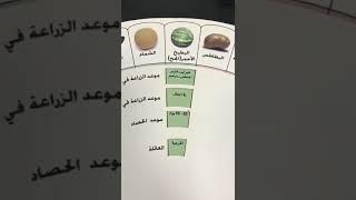 مواسم زراعة الخضروات في السعودية .