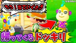 【あつ森】追い出したはずの住人が帰ってきたら…？【ドッキリ住人厳選】【あつまれどうぶつの森】