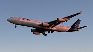 4K Beautiful OHare Golden Hour Plane Spotting {JUMBO JETS}