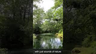 Natural river sounds
