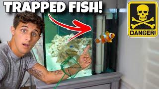 Rescuing TRAPPED FISH From DEATH