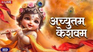 Achyutam Keshavam Krishna Damodaram  New Bhajan  Popular Krishna Bhajan  Little Krishna #krishna