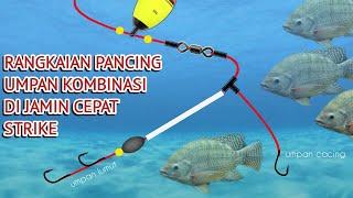 CARA MEMBUAT RANGKAIAN PANCING IKAN NILA 3 MATA KAIL PALING AMPUH  UMPAN KOMBINASI LUMUT DAN CACING