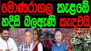 මොණරාගල කැළඹෙයි  හදිසි බලඇනි කැඳවයි. malimawaමාලිමාව