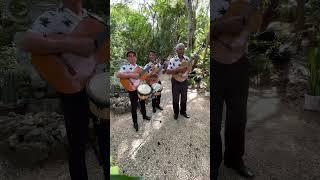 Cuban Musicians performing in a Botanical Garden