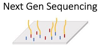 Next Generation Sequencing Illumina - An Introduction