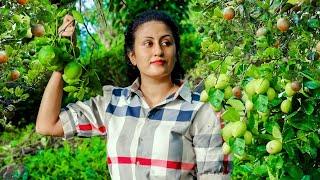 The day of Sour  Poorna - The nature girl