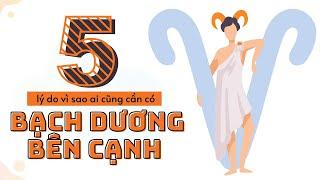 5 Lý Do Vì Sao Ai Cũng Cần Có Bạch Dương Bên Cạnh