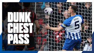 LEWIS DUNK  Chest-Pass Compilation 202324 ️