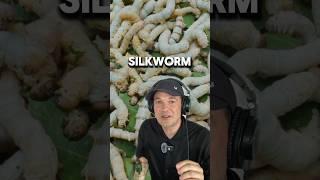 When WORMS Eat It Sounds Like THIS #crazy #insects #asmr #shorts