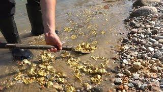 These gold riches may be close by the city. River Treasure