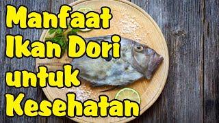 Manfaat Ikan Dori untuk Kesehatan