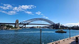 Yarn Shopping in Sydney Australia