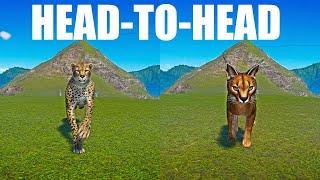 Caracal vs Cheetah A Head to Head Speed Race in Planet Zoo