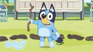 Como se Divertir Como Bluey  Bluey Português Brasil Canal Oficial