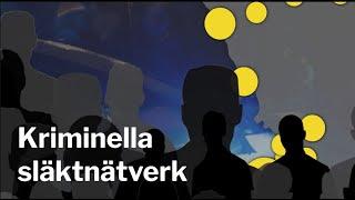 Studio Sydsvenskan – kriminella släktnätverk i Malmö