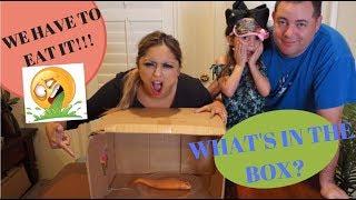 WHATS IN THE BOX CHALLENGE?? FAMILY EDITION I AllInTheFoleyFamily
