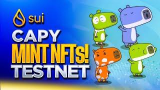 SUI TESTNET  SUI CAPYS  MINT SUI NFTS 