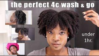 Easiest 4C Wash and Go Routine For Beginners Natural Hair Wash Day + Care Throughout The Week