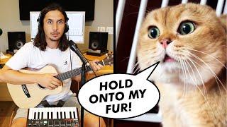 The Kiffness x Oh Long Johnson 2.0 - Hold Onto My Fur Talking Cat Song