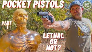 How Lethal Are Pocket Pistols ??? Part 1