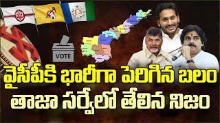 వైసీపీకి భారీగా పెరిగిన బలం..తాజా సర్వేలో తేలిన నిజం YSRCP Strength Increase As Per Latest Survey