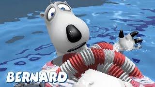 Bernard Bear  Swimming AND MORE  30 min Compilation  Cartoons for Children