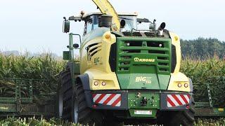 Mais Silage w Krone Big X 1180 - The Worlds Most Powerfull Forage Harvester  Corn Silage