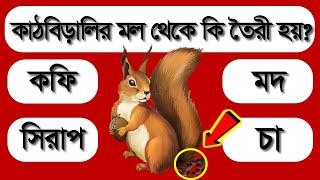 কাঠবিড়ালির মল থেকে কি তৈরী করা হয়  নতুন বিশ্ব  MCQ BANGLA  GK KNOWLEDGE  IQ TEST  DADHA