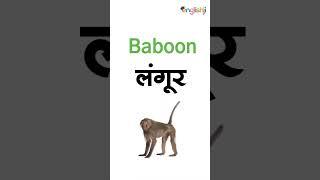 10 wild animals name in english and hindi  10 wild animals ke naam  10 janvaro ke naam #shorts