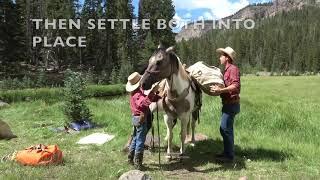 How to Load a Packhorse