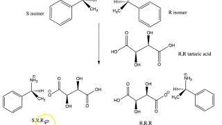 Resolution of a Racemic Mixture