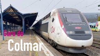 Gare de Colmar  TGV InOui  TER 200  BB 2600  Régiolis  TGV Euroduplex  SNCF