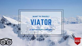 What is Viator? Viator tours  Viator travels  via tor  tripadvisor