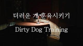 SUB 남자 ASMR  더러운 개 훈육시키기 Pt.1 Dirty Dog Training  女性向け  Korean Boyfriend ASMR