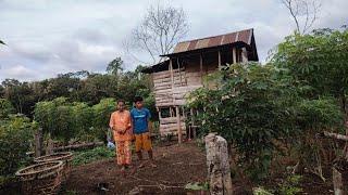 Ketemu pasangan muda tinggal di hutan yang rajin bercocok tanam