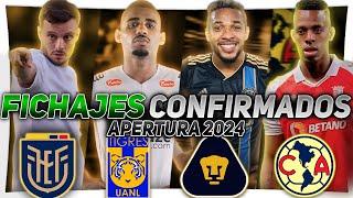 ¡ÚLTIMOS FICHAJES CONFIRMADOS ¡MARTIN ANSELMI se VA ¡BORJA al AMERICA ¡PUMAS va x BRUJO MARTINEZ