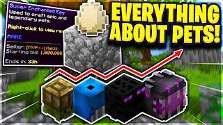 Everything About Pets Hypixel Skyblock