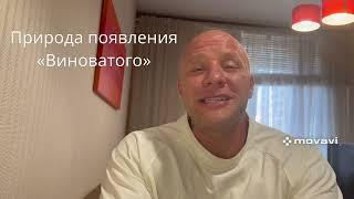 Природа появления «Виноватого»