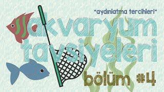 Akvaryum Tavsiyeleri - Bölüm #4 Aydınlatma tercihleri