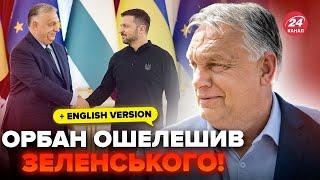 ️Just now Orban proposed a ceasefire to Zelenskyy. Presidents reaction