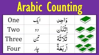 Arabic Numbers 1 to 20 in English and Urdu  Arabic Numbers  Counting in Arabic